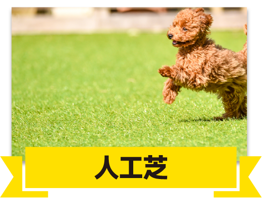 定期的な芝刈りや水やりが不要で、維持管理が簡単